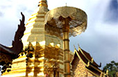 Cool Experience: ม่อนแจ่ม เชียงใหม่ Cool Experience: ม่อนแจ่ม เชียงใหม่