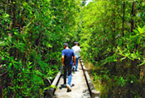 Nomad South Two Nomad South Two