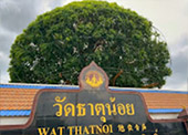 Nomad South Two Nomad South Two