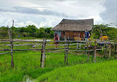 Nomad South Two Nomad South Two