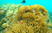 Nomad South Two Nomad South Two