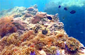 Nomad South Two Nomad South Two