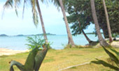3 เกาะ ทัวร์ทะเล นครศรี เกาะราบเกาะแตนเกาะมัตสุ่ม 3 เกาะ ทัวร์ทะเล นครศรี เกาะราบเกาะแตนเกาะมัตสุ่ม