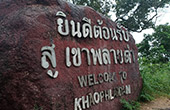 Art of Human: นครฯ - พัทลุง Art of Human: นครฯ - พัทลุง