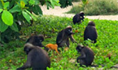Into Thai Bay อ่างทองพักเกาะพะลวย Into Thai Bay อ่างทองพักเกาะพะลวย