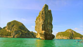 Into the Virgin: เกาะพะลวย Into the Virgin: เกาะพะลวย