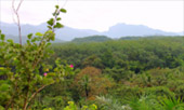 Lake, Sea, River and Mountain Lake, Sea, River and Mountain