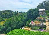 Best First all ทัวร์ น่าน 3 วัน 2 คืน Best First all ทัวร์ น่าน 3 วัน 2 คืน