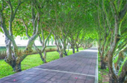 Buddha Trace: น่าน - แพร่ Buddha Trace: น่าน - แพร่