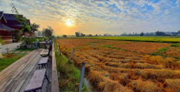 Buddha Trace: น่าน - แพร่ Buddha Trace: น่าน - แพร่