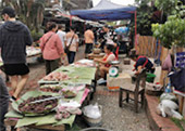 Hidden Use น่าน หลวงพระบาง 5วัน4คืน Hidden Use น่าน หลวงพระบาง 5วัน4คืน
