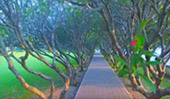 Hidden Use น่าน หลวงพระบาง 5วัน4คืน Hidden Use น่าน หลวงพระบาง 5วัน4คืน