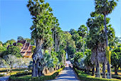 Hidden Use น่าน หลวงพระบาง 5วัน4คืน Hidden Use น่าน หลวงพระบาง 5วัน4คืน