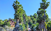 Hidden Use น่าน หลวงพระบาง 5วัน4คืน Hidden Use น่าน หลวงพระบาง 5วัน4คืน