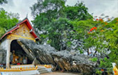 Hidden Use น่าน หลวงพระบาง 5วัน4คืน Hidden Use น่าน หลวงพระบาง 5วัน4คืน