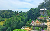 Hidden Use น่าน หลวงพระบาง 5วัน4คืน Hidden Use น่าน หลวงพระบาง 5วัน4คืน