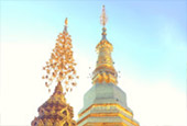 Merit Silence น่าน แพร่ ลำพูน Merit Silence น่าน แพร่ ลำพูน