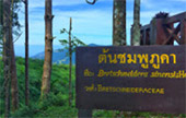Merit Silence น่าน แพร่ ลำพูน Merit Silence น่าน แพร่ ลำพูน