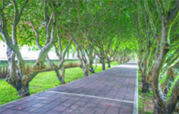 สัมผัสฟ้า: น่าน สัมผัสฟ้า: น่าน