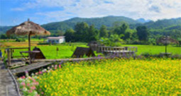 Buddha Trace: น่าน - แพร่ Buddha Trace: น่าน - แพร่