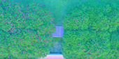 Get real high: ปัว น่าน บ่อเกลือ สะปัน Get real high: ปัว น่าน บ่อเกลือ สะปัน