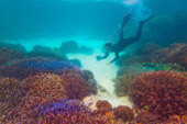 3วัน2คืน เกาะฮาคินโย + นาวโอพี 3วัน2คืน เกาะฮาคินโย + นาวโอพี