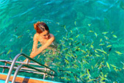 Nui Bay, Bamboo Island, Baby Sharks