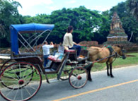 Original เชียงใหม่ เชียงราย Original เชียงใหม่ เชียงราย