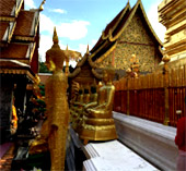 Original เชียงใหม่ เชียงราย Original เชียงใหม่ เชียงราย