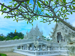 Original เชียงใหม่ เชียงราย Original เชียงใหม่ เชียงราย