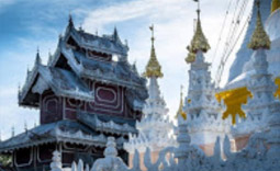 1864 Sharp Curve เชียงใหม่ แม่ฮ่องสอน ปาย 1864 Sharp Curve เชียงใหม่ แม่ฮ่องสอน ปาย