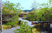 เกาะพยาม Full Relax เกาะพยาม Full Relax