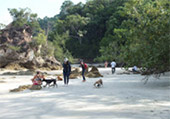 เกาะพยาม Rolling on Beach เกาะพยาม Rolling on Beach