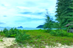 เกาะพยาม Rolling on Beach เกาะพยาม Rolling on Beach