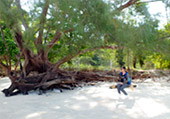 เกาะพยาม Rolling on Beach เกาะพยาม Rolling on Beach