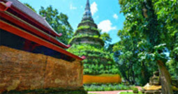 Phu-Land 2วัน1คืน ภูชี้ฟ้า เชียงแสน Phu-Land 2วัน1คืน ภูชี้ฟ้า เชียงแสน