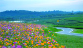 Phu-Land 2วัน1คืน ภูชี้ฟ้า เชียงแสน Phu-Land 2วัน1คืน ภูชี้ฟ้า เชียงแสน