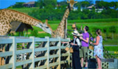 Phu-Land 2วัน1คืน ภูชี้ฟ้า เชียงแสน Phu-Land 2วัน1คืน ภูชี้ฟ้า เชียงแสน