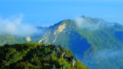 Phu-Land 2วัน1คืน ภูชี้ฟ้า เชียงแสน Phu-Land 2วัน1คืน ภูชี้ฟ้า เชียงแสน