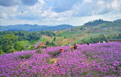 ภูลังกา เชียงใหม่..พะเยา ภูลังกา เชียงใหม่..พะเยา