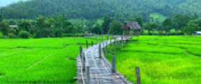 Best First ปาย 4วัน3คืน