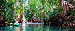 Clear Water Canal พายคายัค