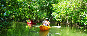 Activities and Leisure: 2 วัน 1 คืน บนเกาะเงียบสงบ