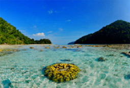 Cockbern & Pinsa Island Cockbern & Pinsa Island