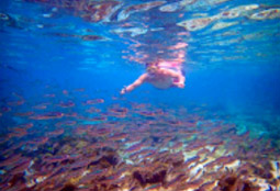 Cockbern & Pinsa Island Cockbern & Pinsa Island