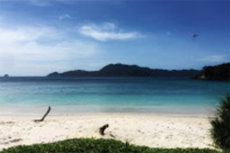 Cockbern & Pinsa Island Cockbern & Pinsa Island