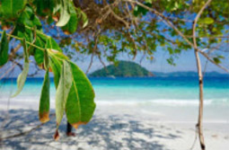 Cockbern & Pinsa Island Cockbern & Pinsa Island