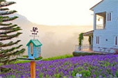 Freshen up 3 วัน 2 คืน เขาค้อ ภูทับเบิก พระพุทธชินราช Freshen up 3 วัน 2 คืน เขาค้อ ภูทับเบิก พระพุทธชินราช