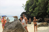 Longtail and Bays..เกาะพีพี