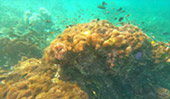 Best of Thai Bay 4วัน3คืน ชุมพร ประจวบ Best of Thai Bay 4วัน3คืน ชุมพร ประจวบ